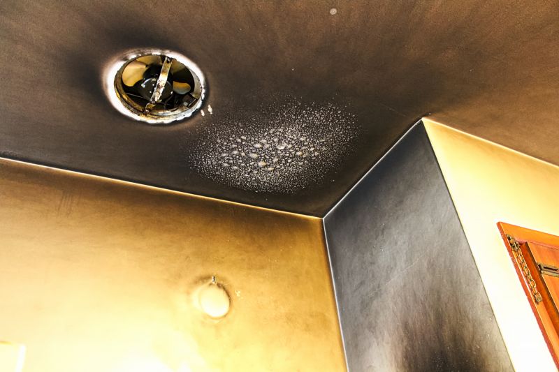 Odor Removal Specialists